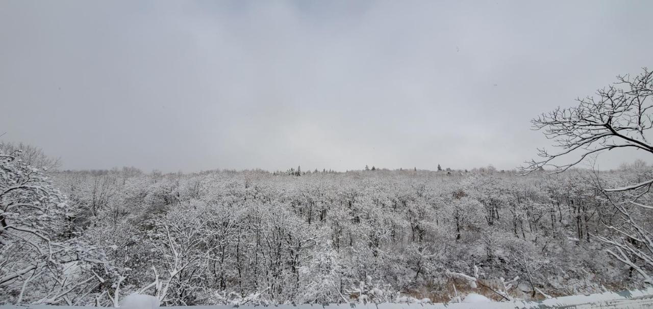 Konayuki Hotel Myoko Buitenkant foto