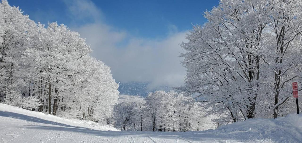 Konayuki Hotel Myoko Buitenkant foto