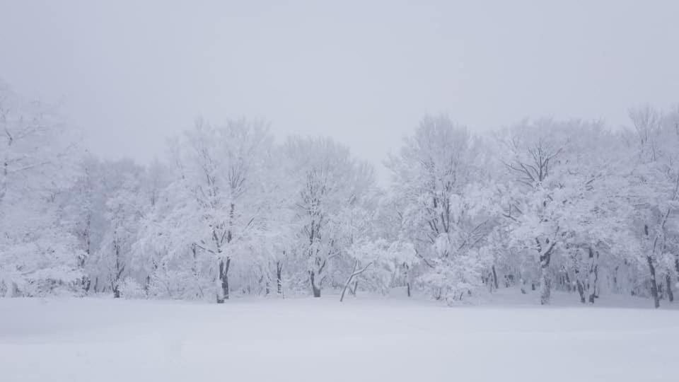 Konayuki Hotel Myoko Buitenkant foto